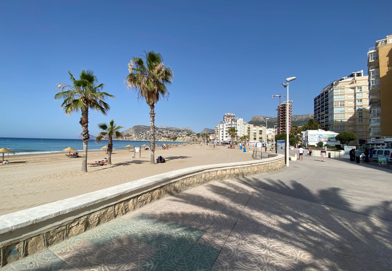 Apartment in Calpe / Calp - Alq 171 Playa de Oro 10
