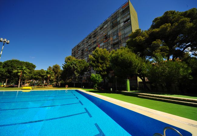 Apartment in Benicàssim - PRINCICASIM I-II-15-3