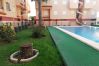 Apartment in Xeraco Playa - 4.Oasis Bl.III Esc.A 2º pta.2 ático Apartment in Xeraco Playa - 4.Oasis Bl.III Esc.A 2º pta.2 ático