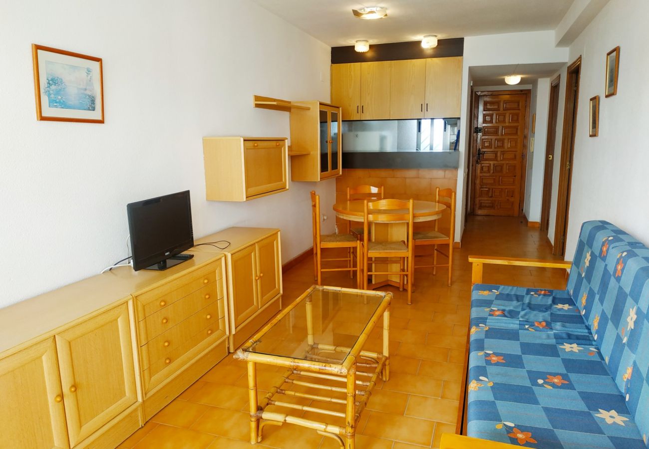 Apartment in Peñiscola - PP B2-420 (132)