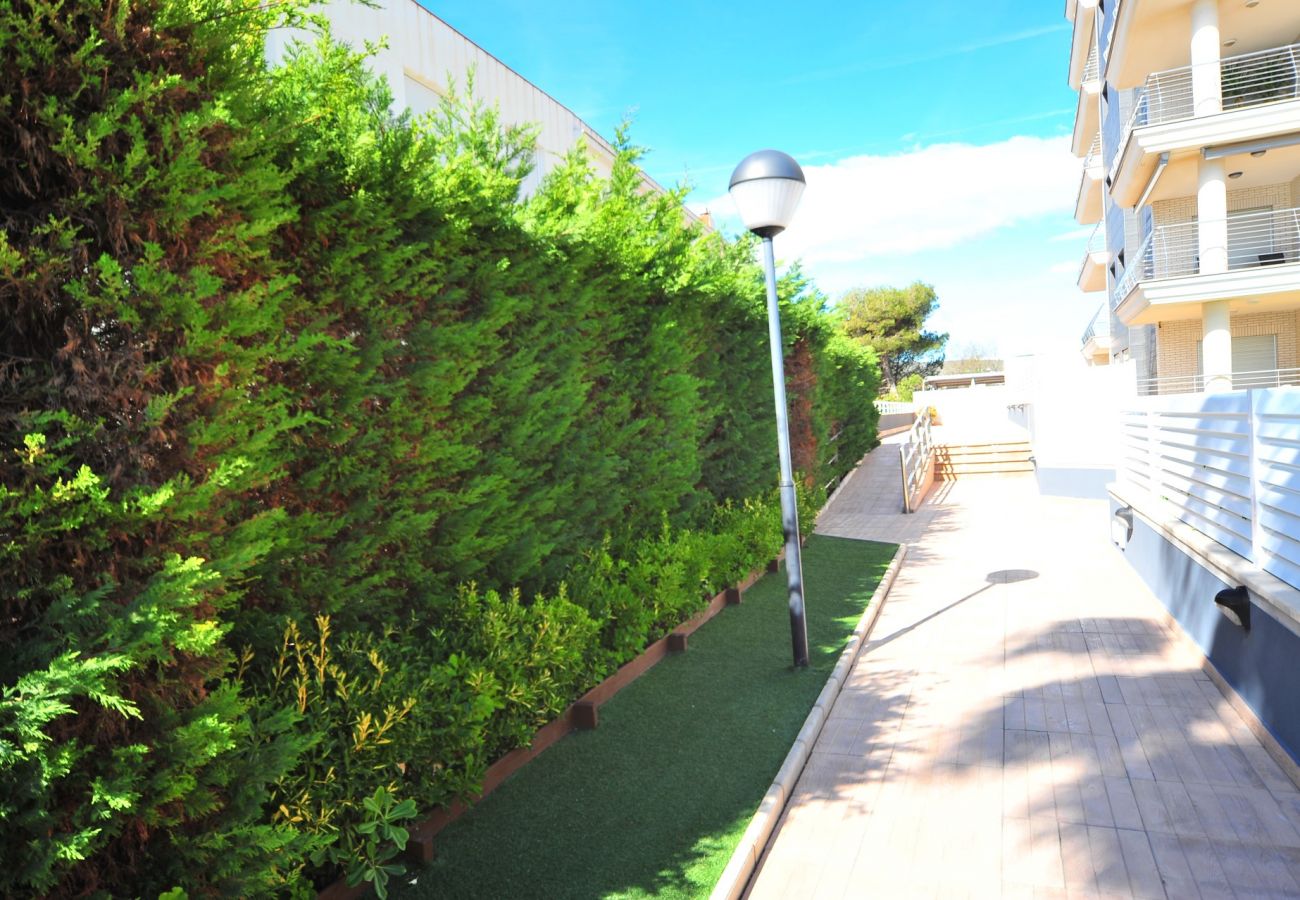 Apartment in Peñiscola - PNORTE 6G (151)