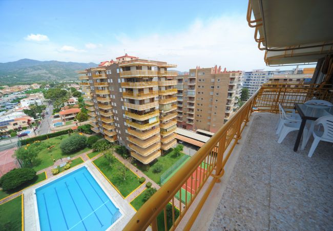 Apartment in Benicàssim - BENIPAL II-9-86