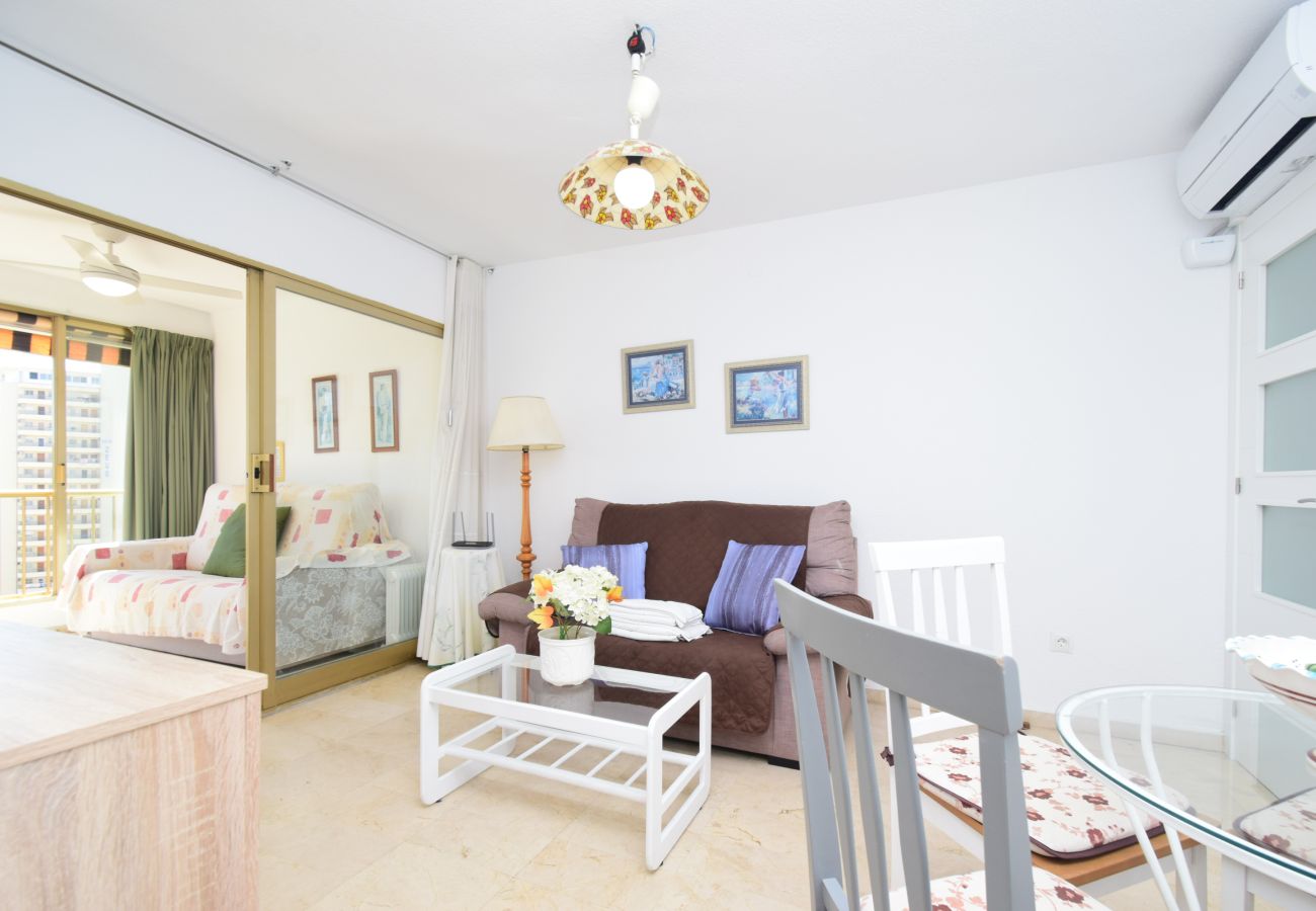 Apartment in Benidorm - ADELFAS 10D