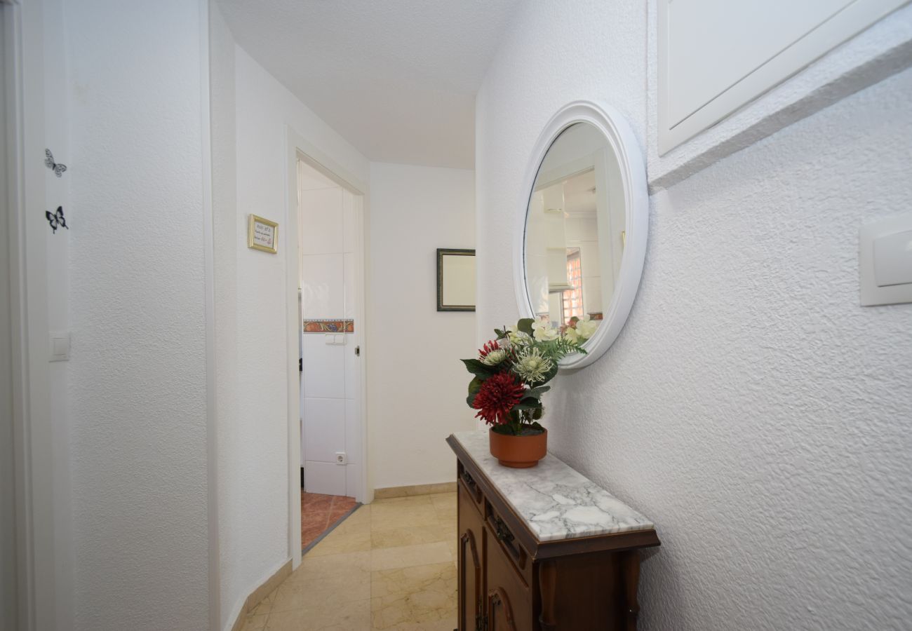 Apartment in Benidorm - ADELFAS 10D