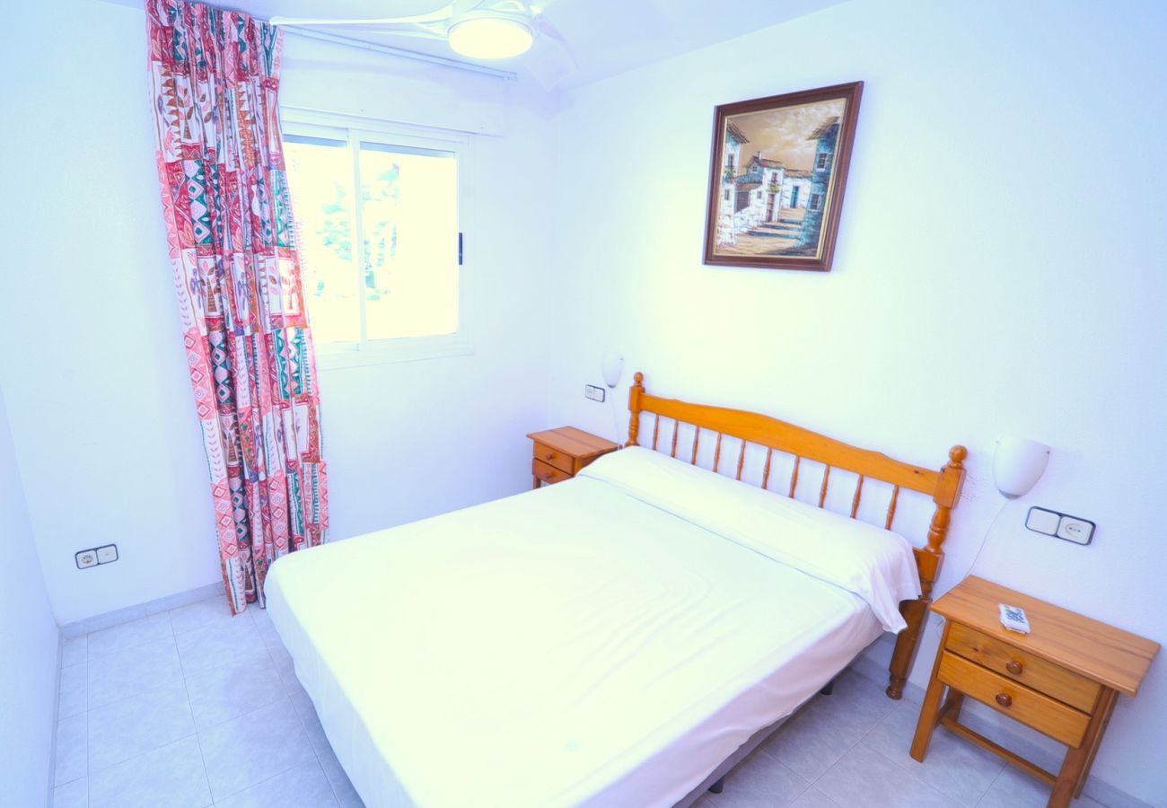 Apartment in Alcocebre / Alcossebre - LAS TERRAZAS 1-215