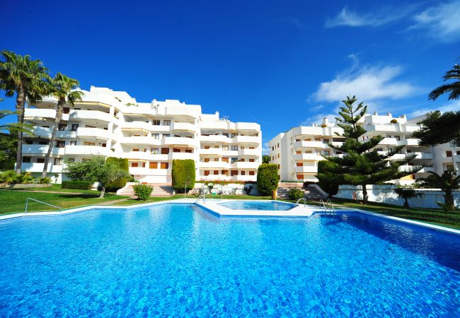 Apartment in Alcocebre / Alcossebre - MERIDIÀ D-1-7