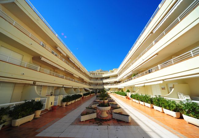 Apartment in Alcocebre / Alcossebre - CALA MONTERO 7-1-38