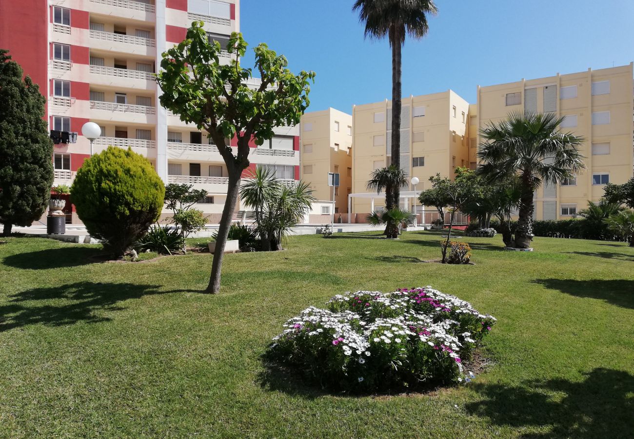 Apartment in Playa de Gandía - 1.Don Ximo 1º pta 1 (garaje 61)