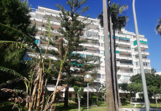 Apartment in Playa de Gandía - 1.Parque IV esc. 1 1º pta 1