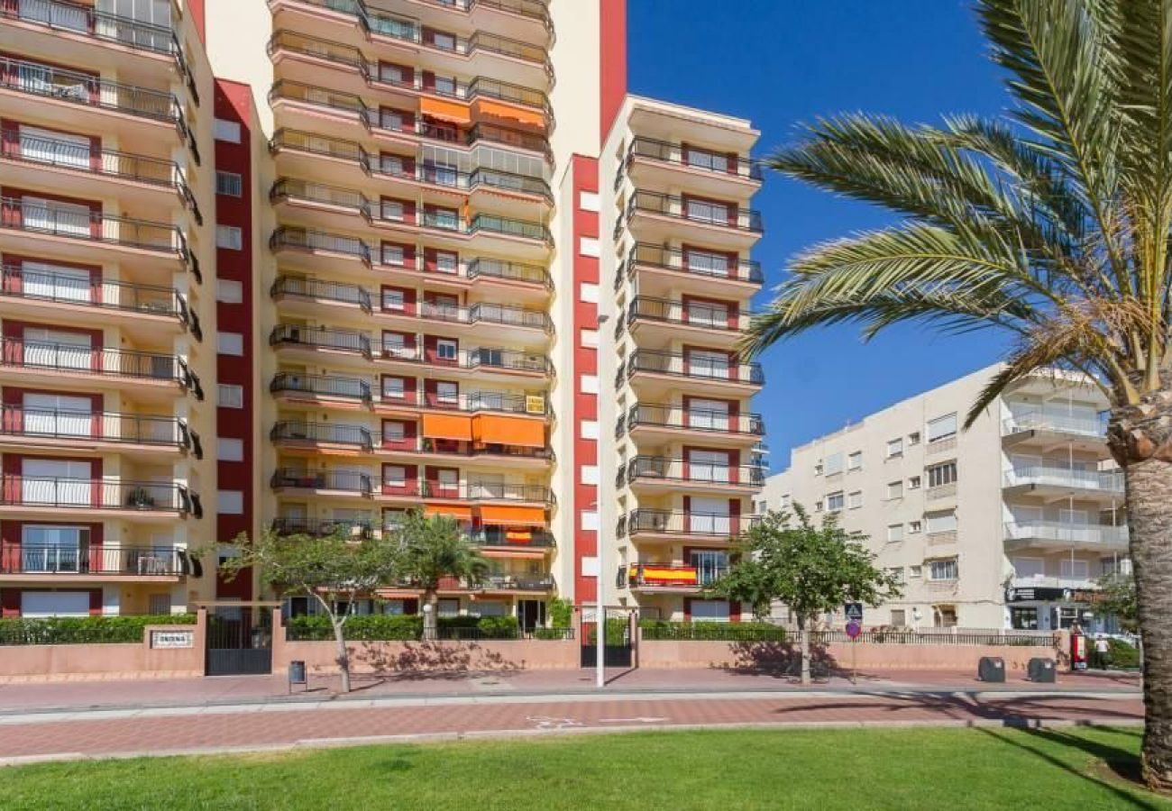 Apartment in Playa de Gandía - 43. AG ONDINA 1