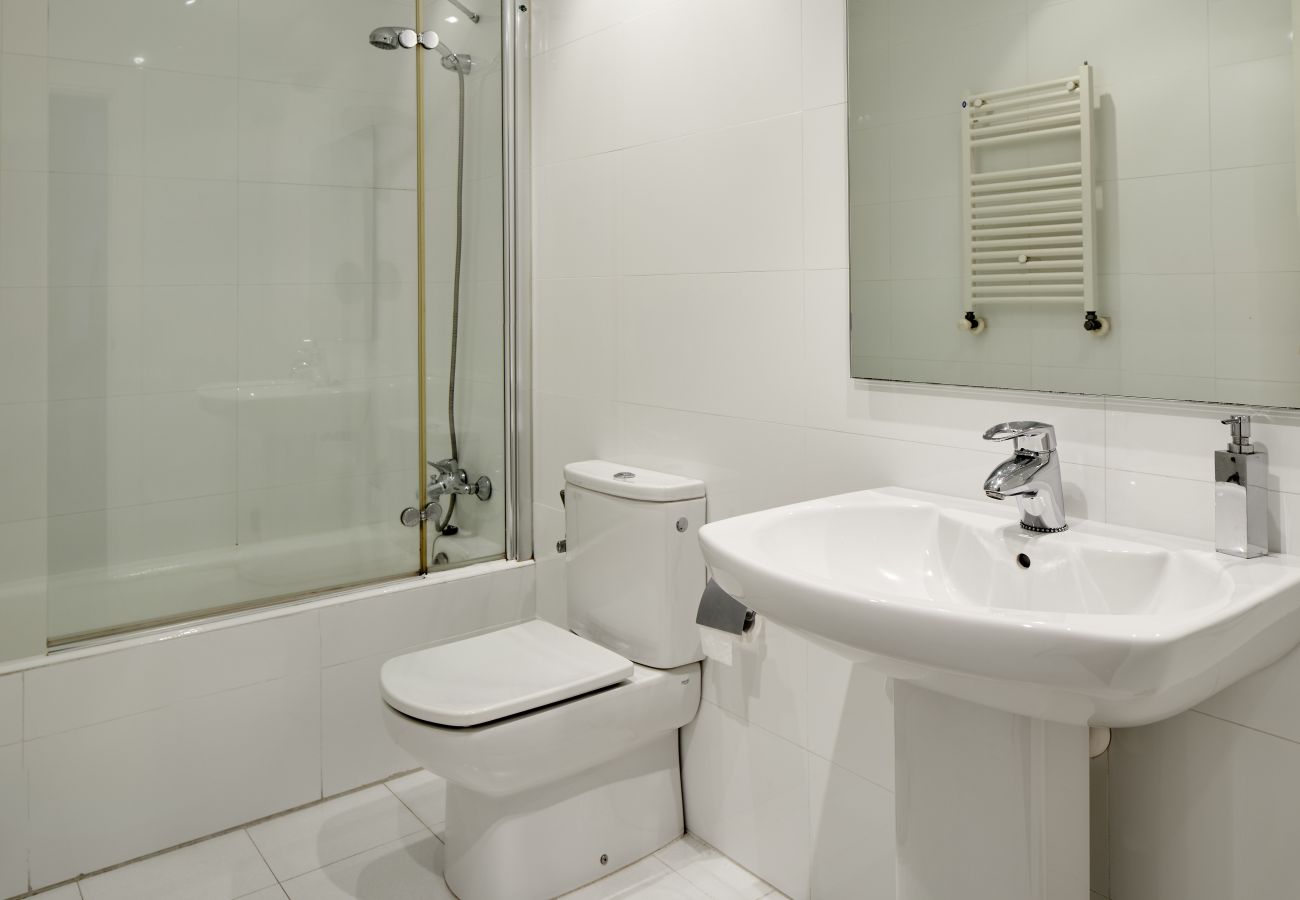 Apartment in San Sebastián - IDIAKEZ - Basque Stay