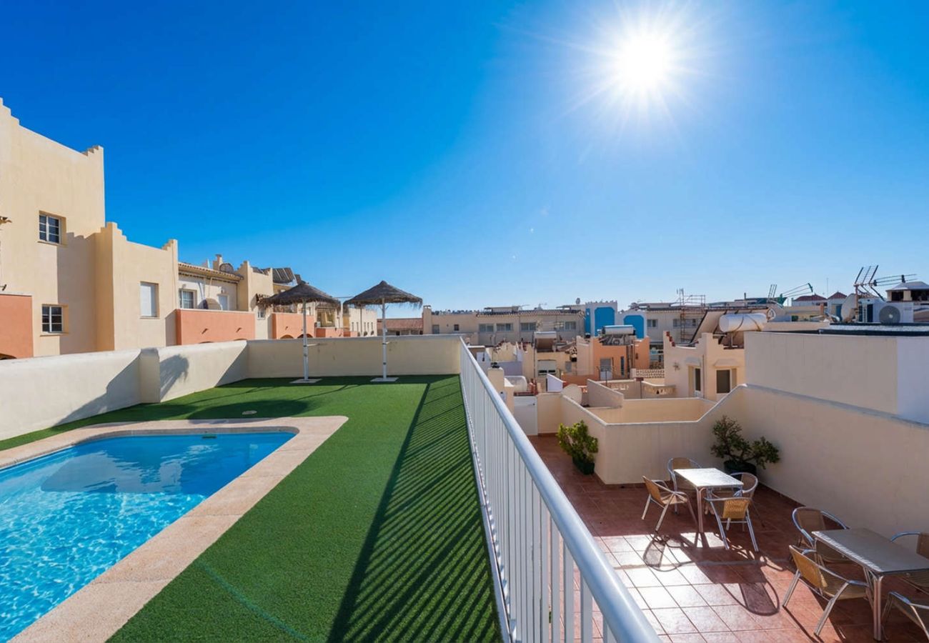 Rooftop communal pool with sun loungers in Torrecilla area, Nerja.