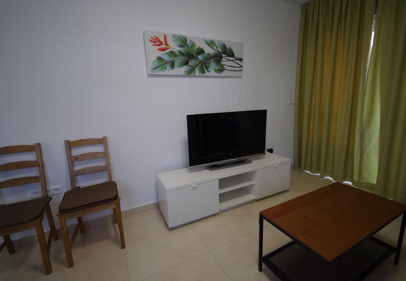 Apartment in Benidorm - OCE3 3A