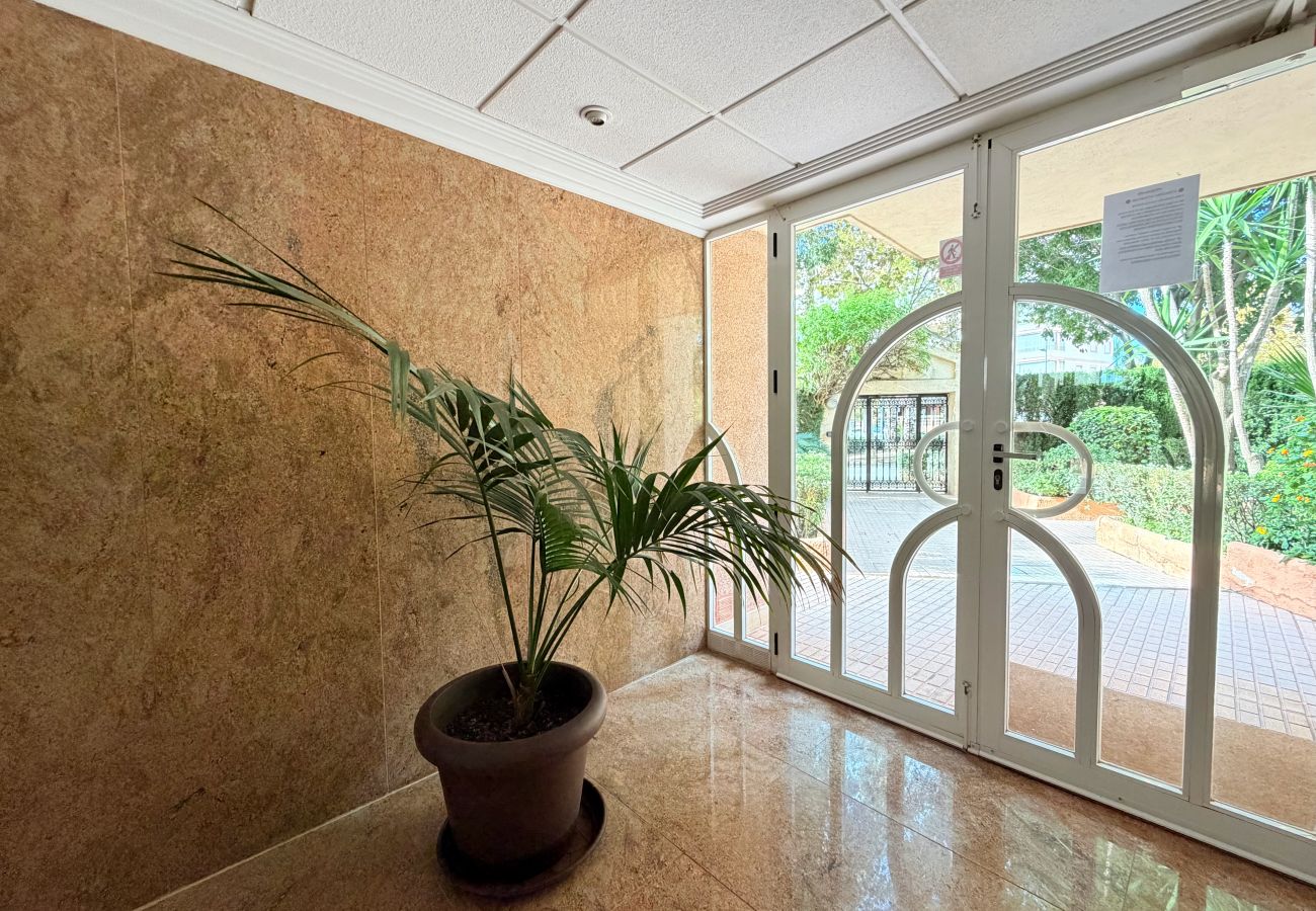 Apartment in Calpe / Calp - Alq 188 Apartamento Bobyan en Calpe