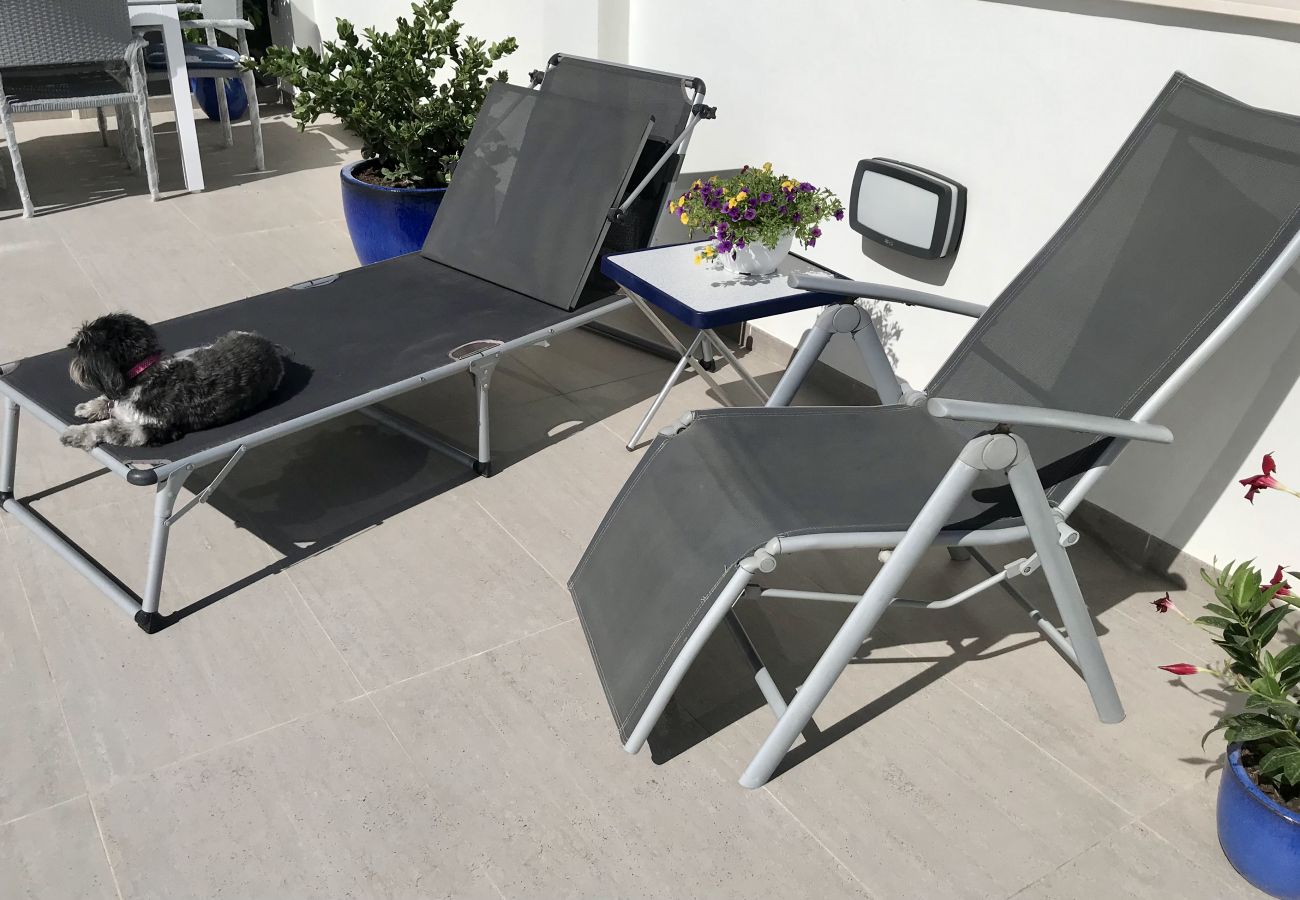 Apartment in Calpe / Calp - Alq 200 Infinium II 1