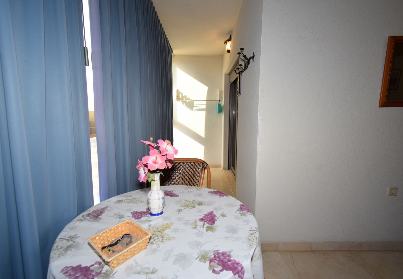 Apartment in Benidorm - GEMELOS 20 12D