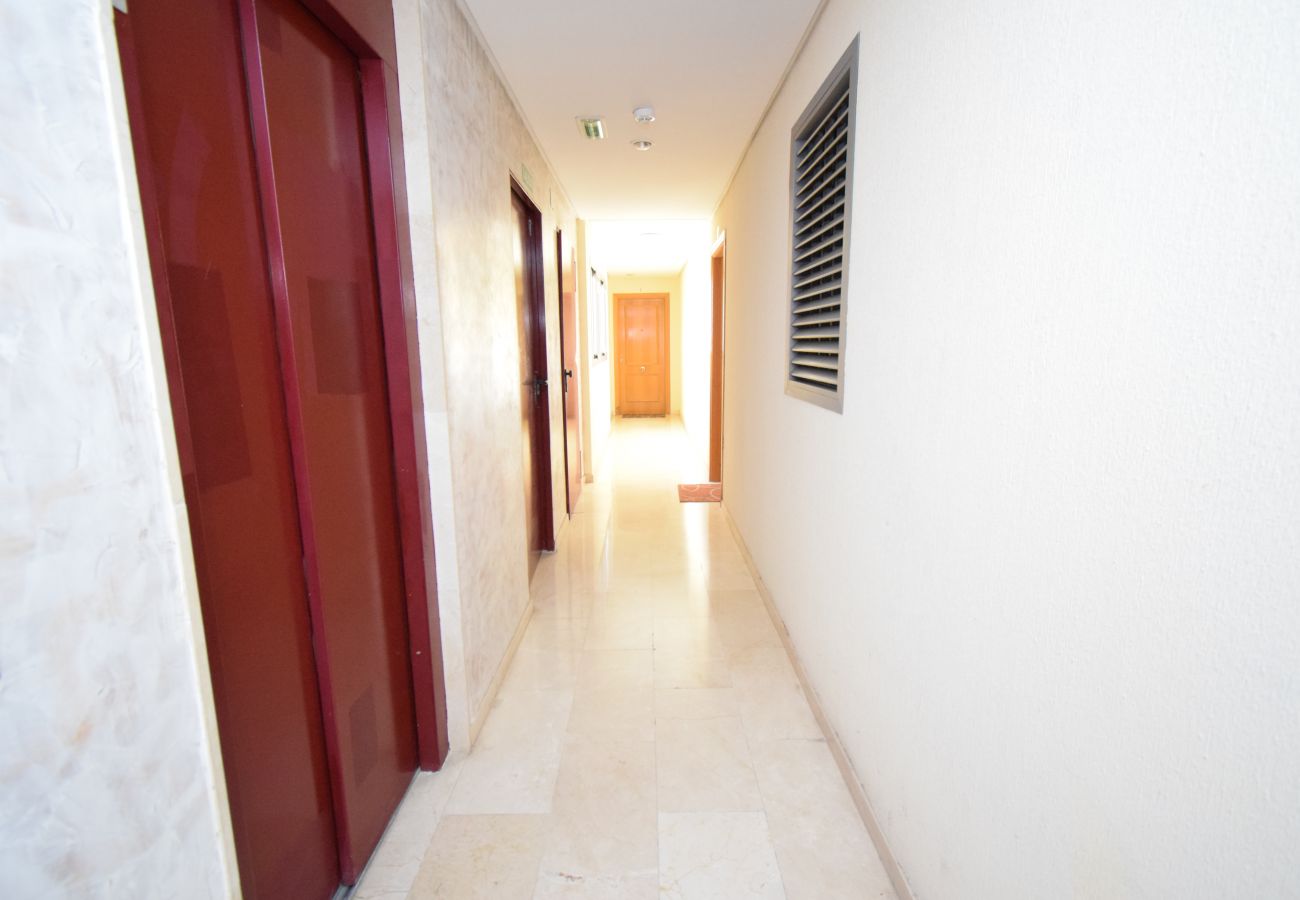 Apartment in Benidorm - GEMELOS 20 12D