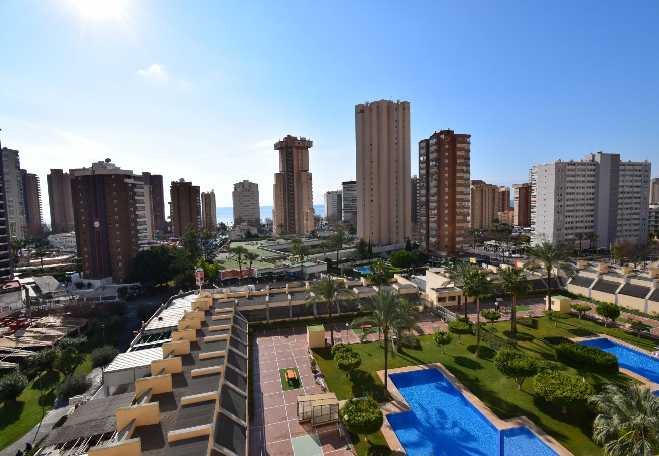 Apartment in Benidorm - GEMELOS 20 12D