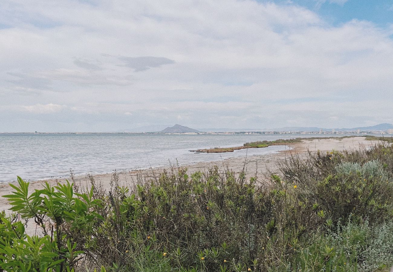 Apartment in La Manga del Mar Menor - Arenales 116