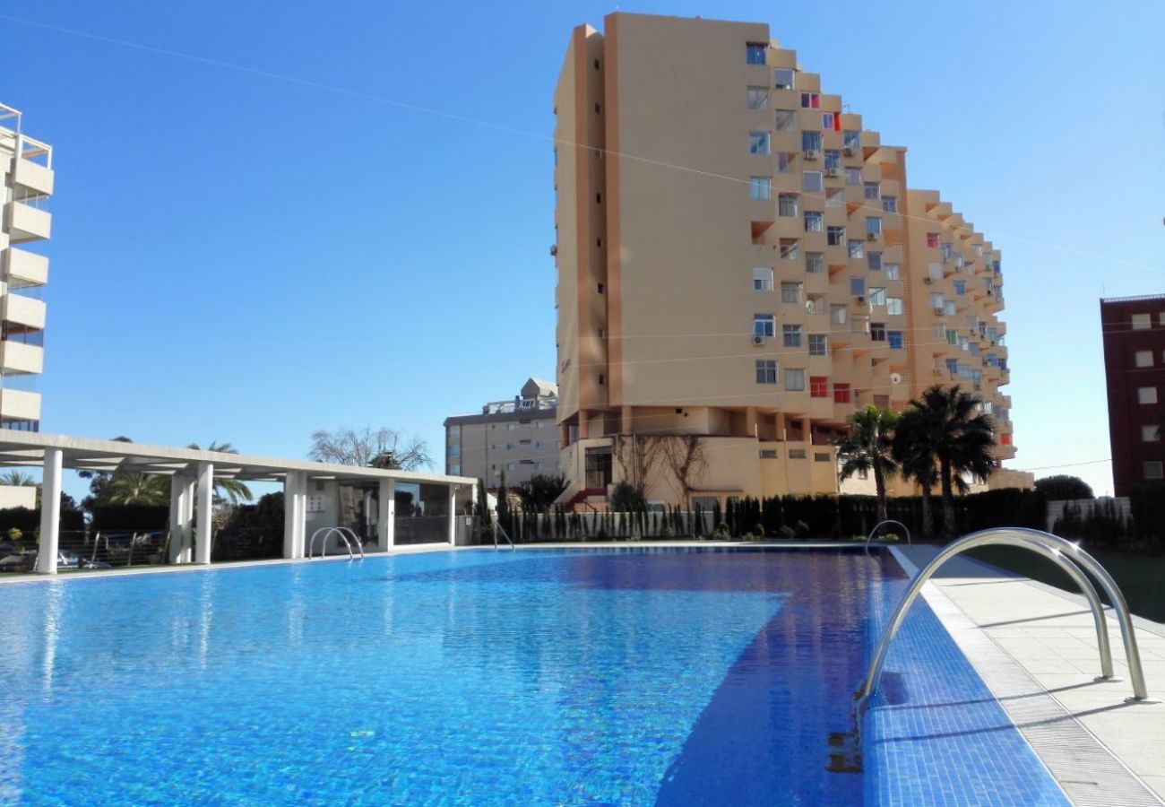 Studio in Calpe / Calp - AT108 HORIZONTE 801