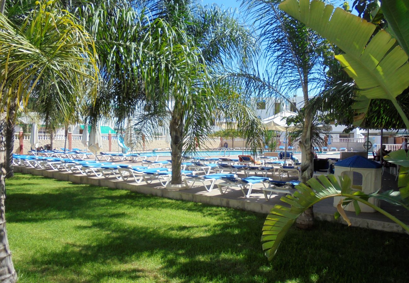 Apartment in Peñiscola - Breima 32 Residencial LEK