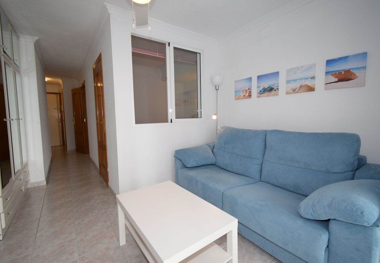 Studio in Benidorm - CABALLOS 8E (ESTUDIO)