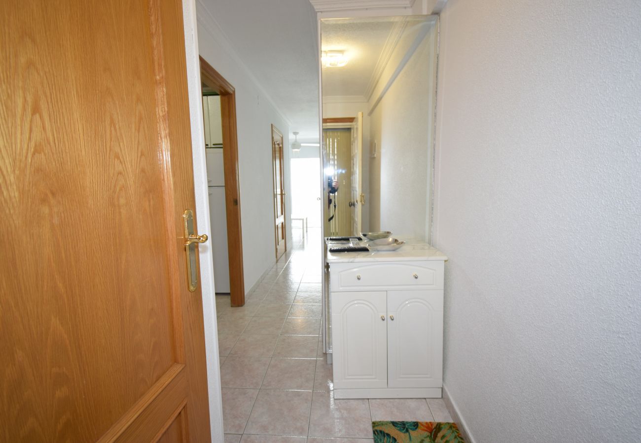 Studio in Benidorm - CABALLOS 8E (ESTUDIO)