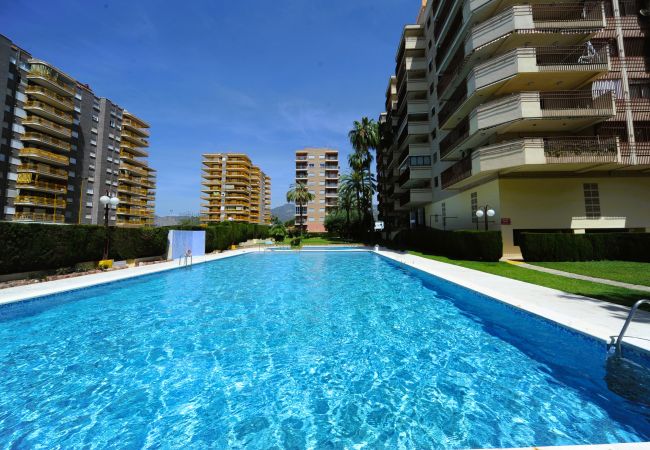 Apartment in Benicàssim - CANARIAS B-3-H