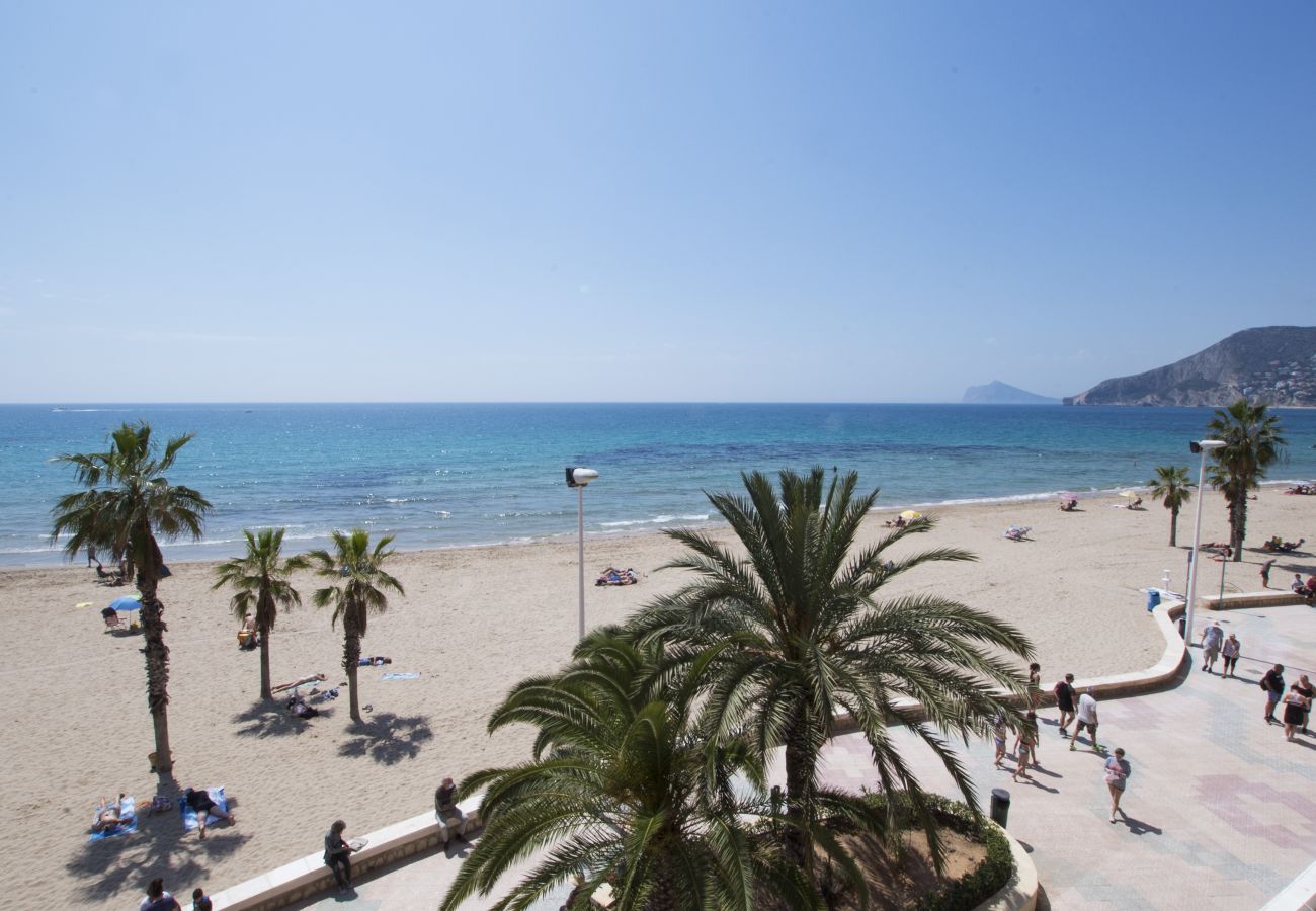 Apartment in Calpe / Calp - A85 EDIFICIO OCEANIC 304