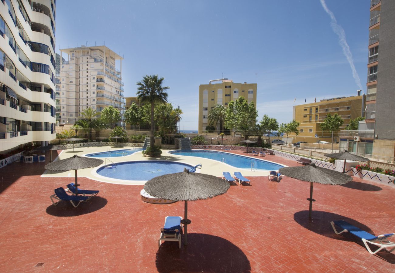Apartment in Calpe / Calp - A14 TURQUESA BEACH 2 1º C