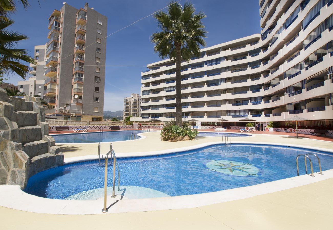 Apartment in Calpe / Calp - A14 TURQUESA BEACH 2 1º C