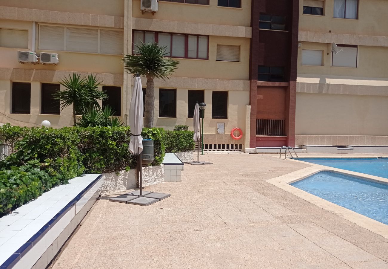 Apartment in Playa de Gandía - 1.Albatros esc.B 10 ptas.19