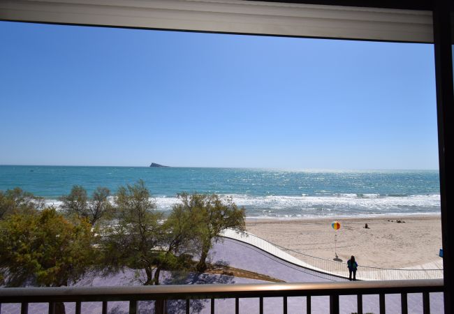  in Benidorm - BENIBEACH   3-1B