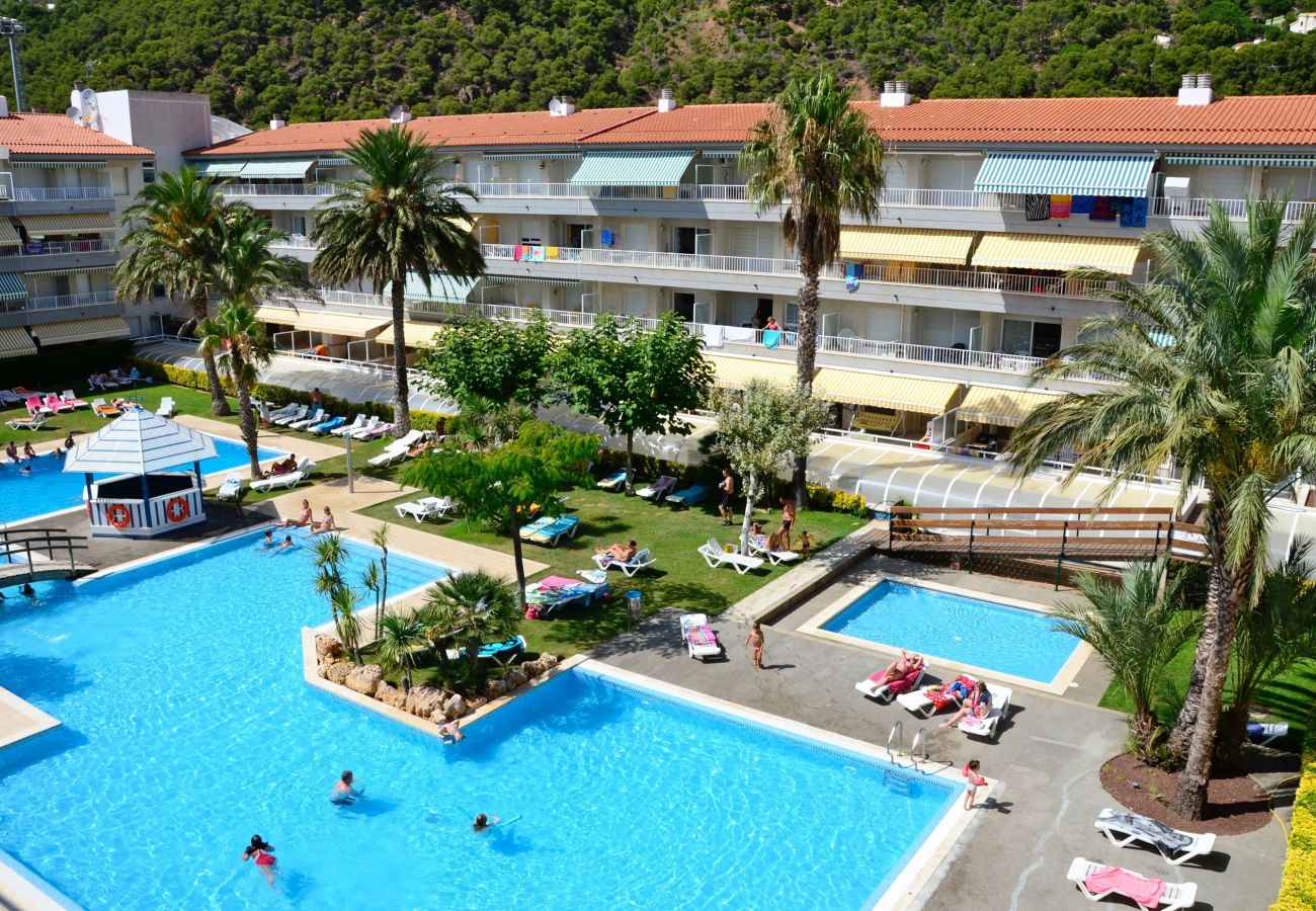 Apartment in Estartit - ILLA MAR DOR 138