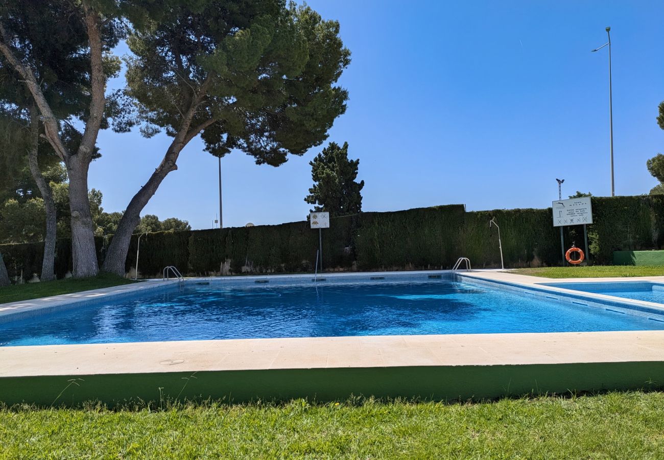 Studio in Alcocebre / Alcossebre - Estudio con aire acondicionado a 200m  de la playa