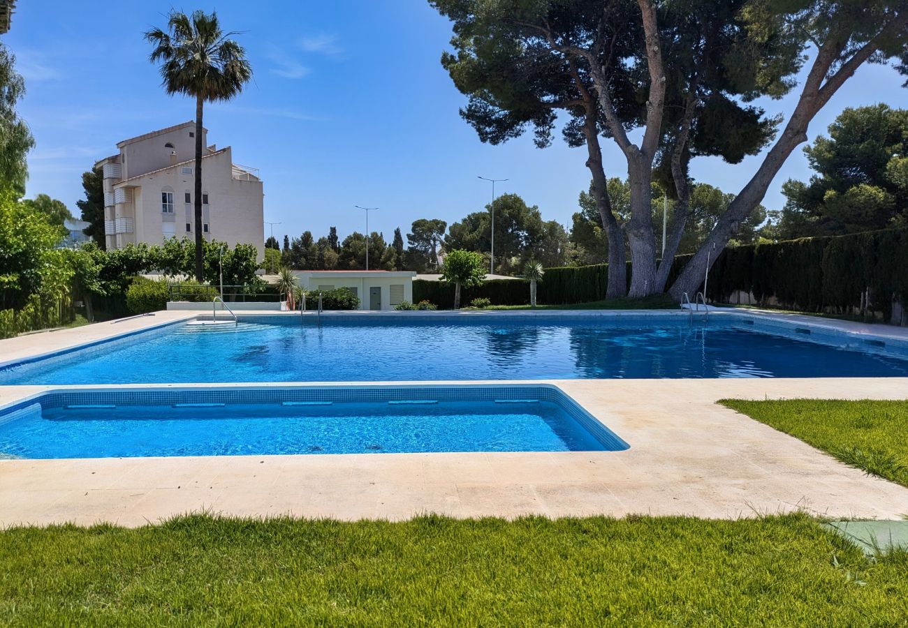 Studio in Alcocebre / Alcossebre - Estudio con aire acondicionado a 200m  de la playa