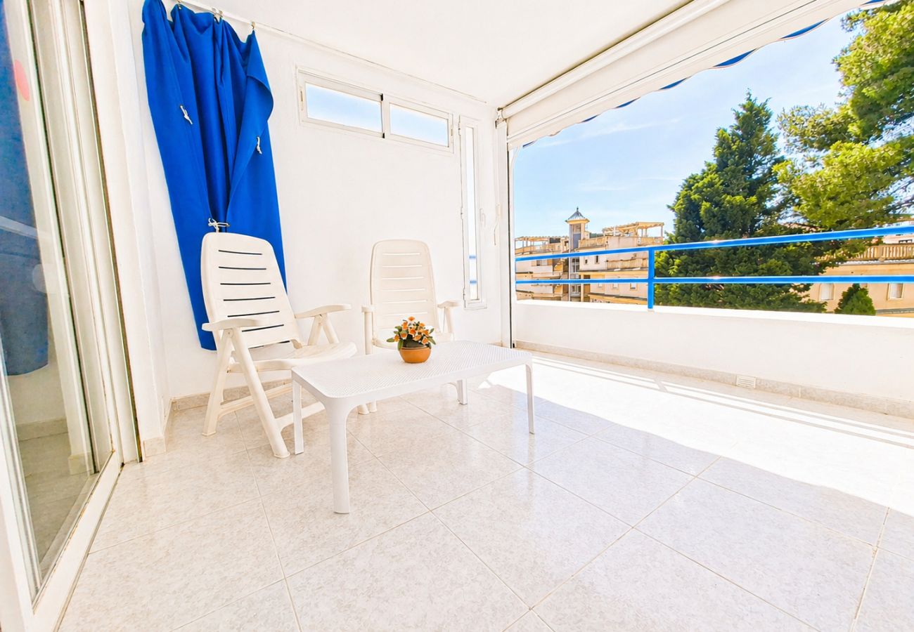 Apartment in Alcocebre / Alcossebre - PLAYA ROMANA a 200 metros de la playa