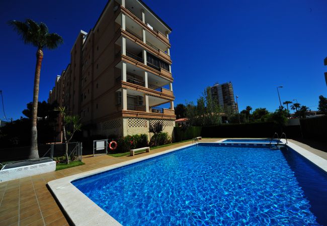 Apartment in Benicàssim - CUMBREMAR II-I-3-E