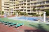 Apartment in Calpe - A95 APOLO 7 ESC 1  1º 9