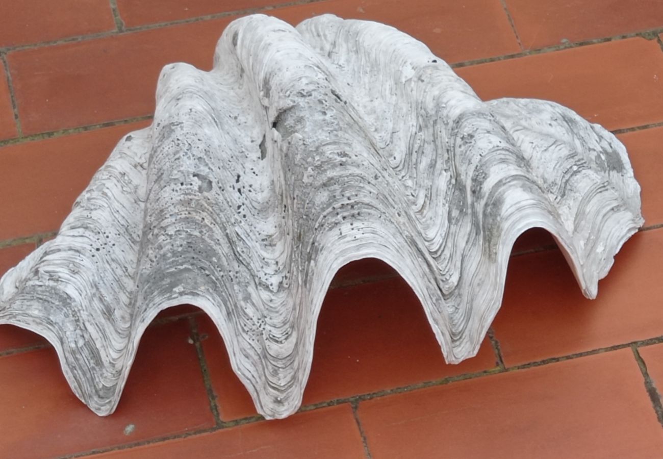 Apartment in Playa Xeraco - 4.Mar Azul Esc. II 6º pta 16