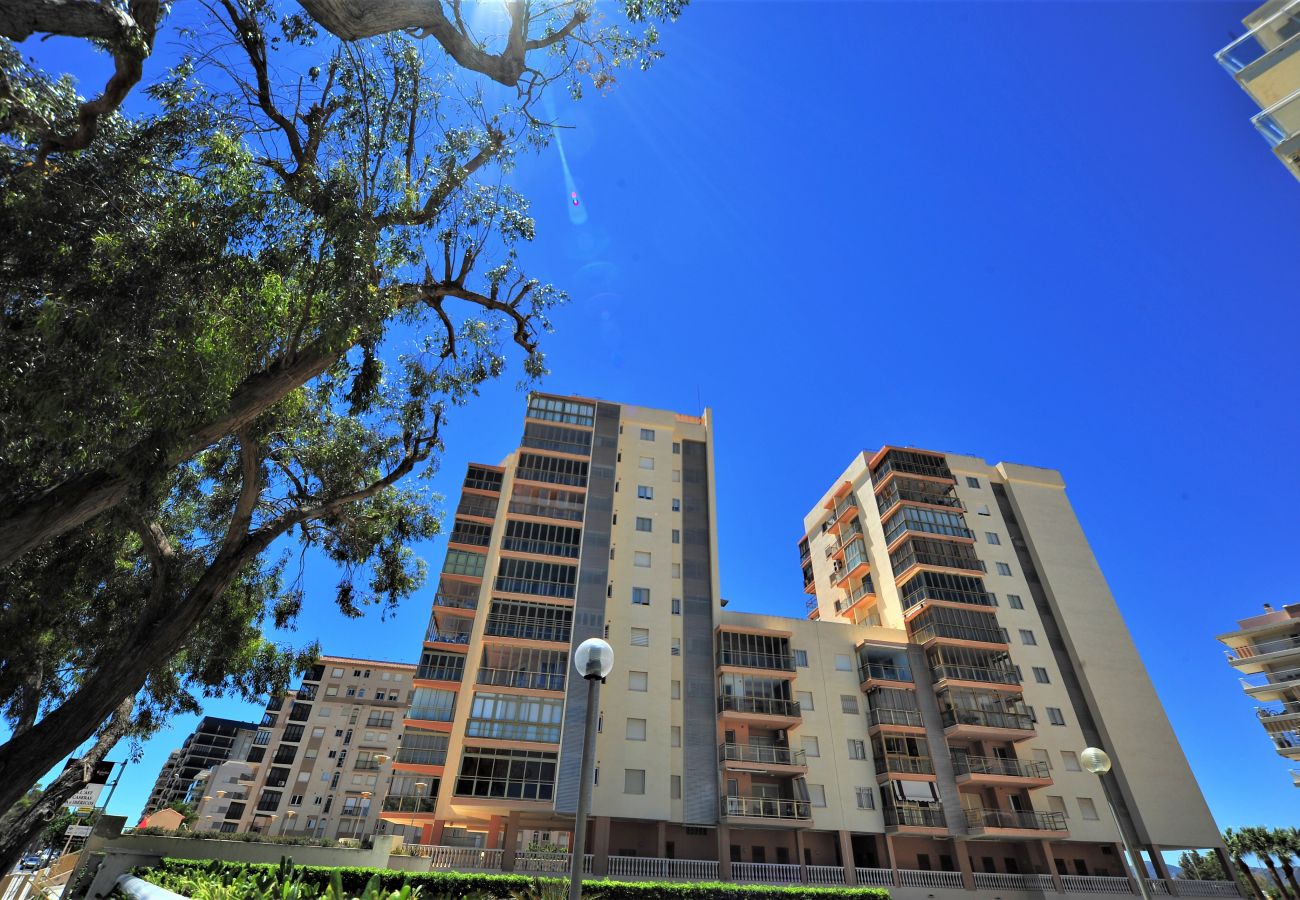 Apartment in Benicàssim - JAMAICA I II 2 G