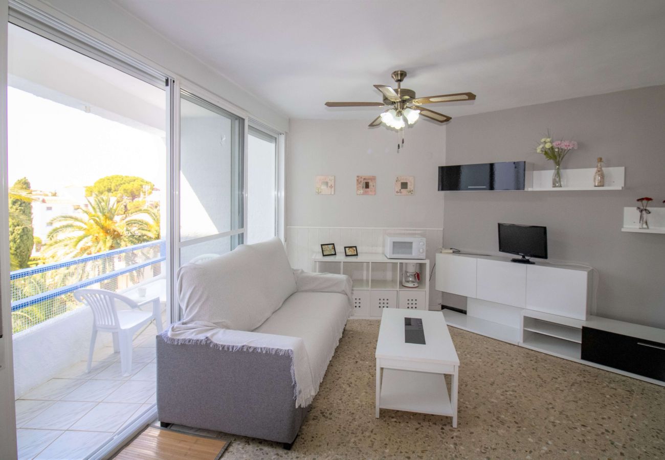 Studio in Alcocebre / Alcossebre - Las Fuentes Beach Studio - Piscina y jardín