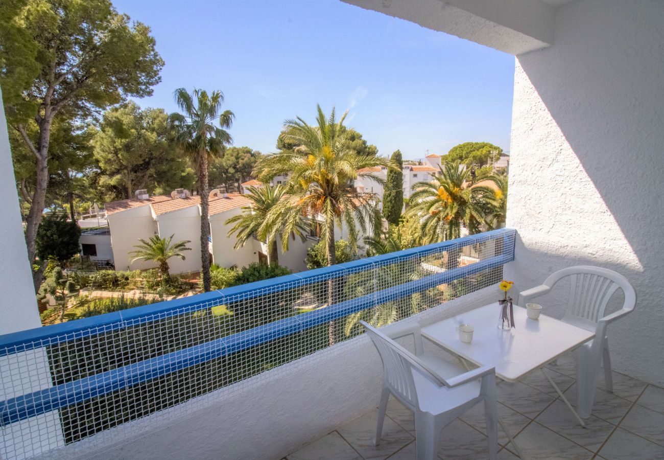 Studio in Alcocebre / Alcossebre - Las Fuentes Beach Studio - Piscina y jardín