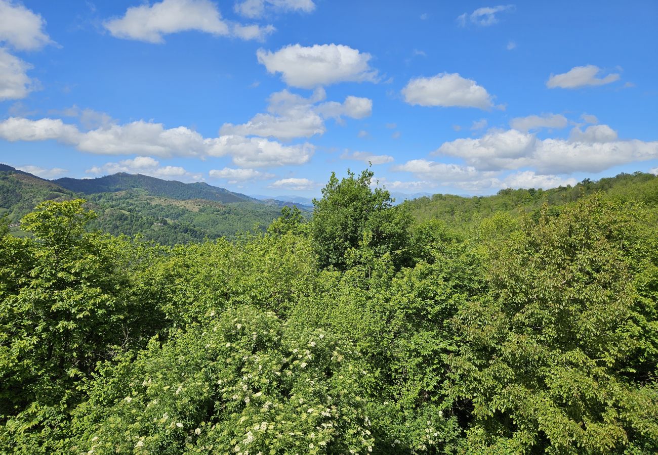 Rent by room in Mieres - 26A04 Hotel Montaña Casa Migio
