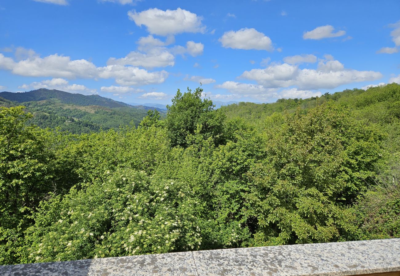 Rent by room in Mieres - 26A04 Hotel Montaña Casa Migio