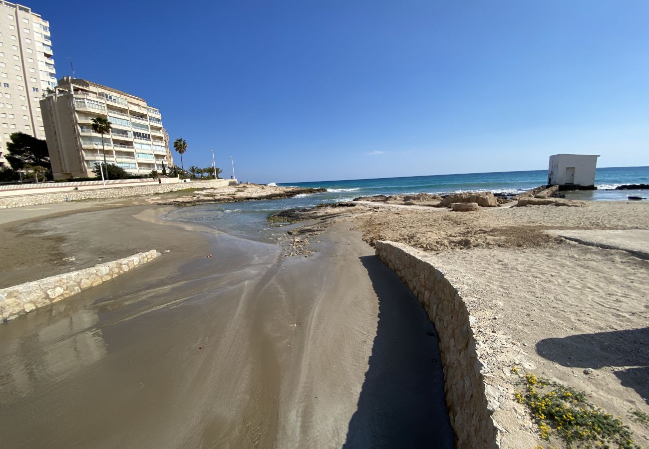 Apartment in Calpe / Calp - Alq 246 Garzas