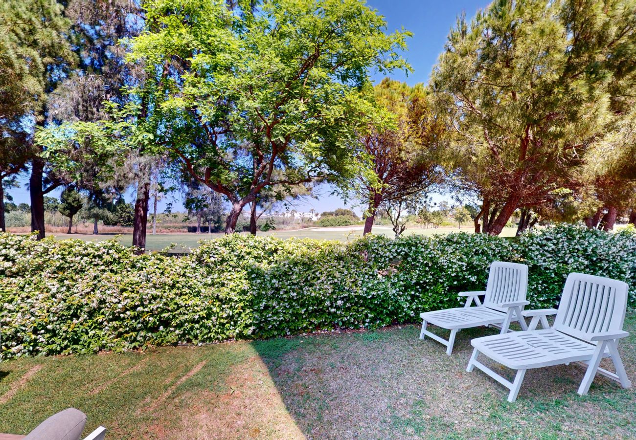Apartment in Oliva - Sevilla 7 - 302