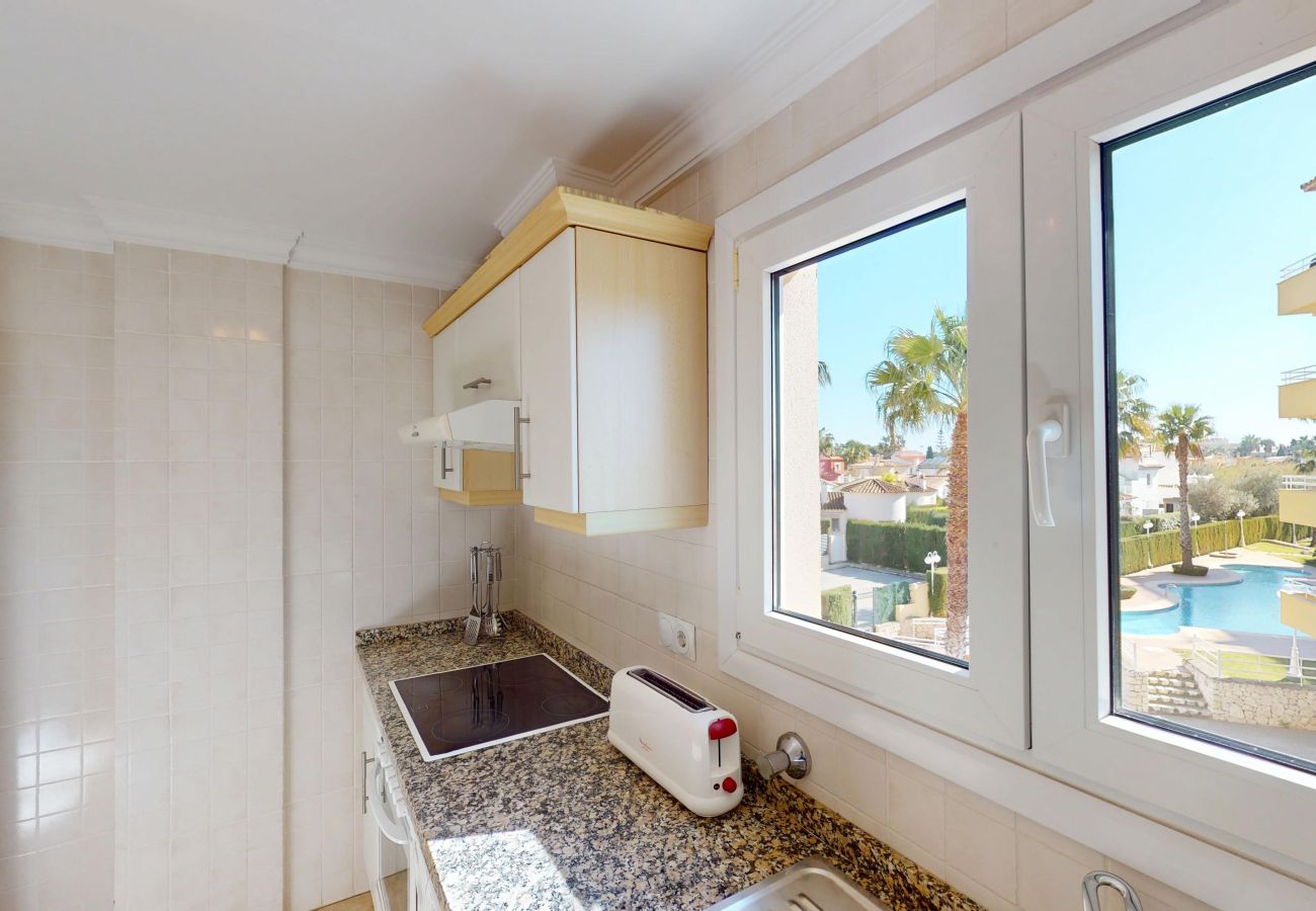 Apartment in Oliva - Tamarindo 7203