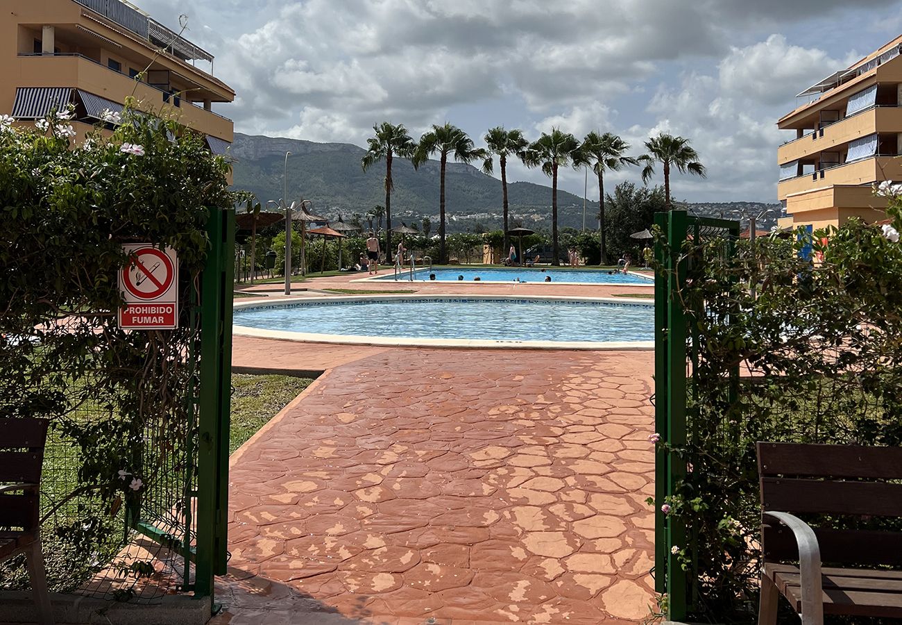 Apartment in Denia - La Marjal 4-4D