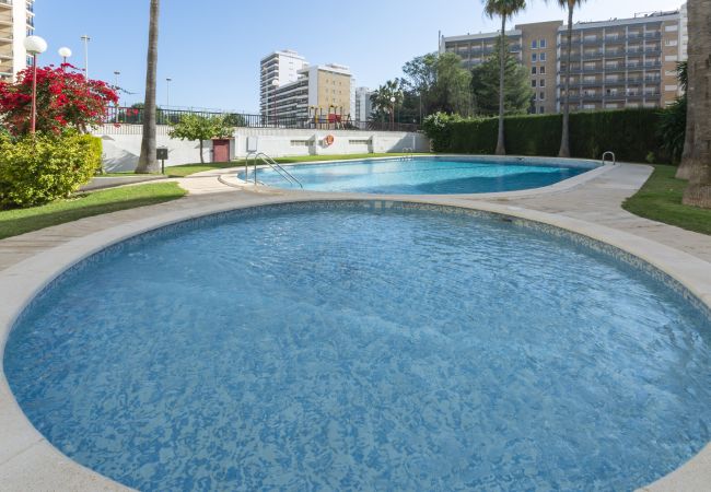 Apartment in Playa de Gandía - 45. AG SALINAS 9